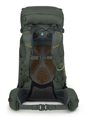Osprey hiking backpack Kestrel 38 S / M Bonsai Green | Buy bags