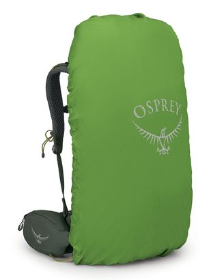 Osprey hiking backpack Kestrel 38 S / M Bonsai Green | Buy bags
