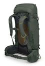 Osprey Kestrel 38 S / M Bonsai Green