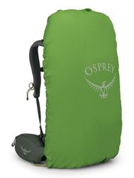 Osprey hiking backpack Kestrel 38 S / M Bonsai Green | Buy bags
