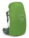 Osprey Aura AG LT 65 M / L Koseret / Darjeeling Spring Green Osprey Aura AG LT 65 M / L Koseret / Darjeeling Spring Green