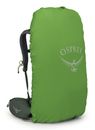 Osprey Kestrel 38 L / XL Bonsai Green Osprey Kestrel 38 L / XL Bonsai Green