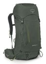 Osprey Kestrel 38 L / XL Bonsai Green Osprey Kestrel 38 L / XL Bonsai Green