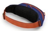 Osprey Daylite Waist Silver Lining / Blueberry