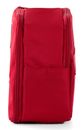 RONCATO Ironik 2.0 Necessaire Red