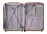 DELSEY PARIS Promenade Hard 2.0 Expandable 4 Double Rolls Trolley L / M / S Silver