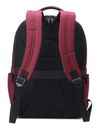 DELSEY PARIS Element Backpacks Voyager Rouge