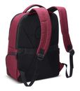 DELSEY PARIS Element Backpacks Voyager Rouge
