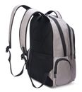 DELSEY PARIS Element Backpacks Flier Grey DELSEY PARIS Element Backpacks Flier Grey