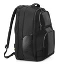 DELSEY PARIS Wagram 2 Compartment Backpack 17,3" Black