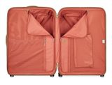 DELSEY PARIS Chatelet Air 2.0 4 DR Trolley 82 Brown
