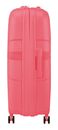 American Tourister Starvibe Spinner 77 / 28 EXP TSA L Sun Kissed Coral
