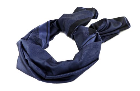 GUESS Brynlee Scarf 80x180 Blue