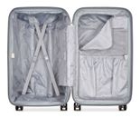 DELSEY PARIS Shadow 5.0 4DR Trunk Trolley 73 M Platin DELSEY PARIS Shadow 5.0 4DR Trunk Trolley 73 M Platin