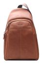 Esquire Dallas Small Crossbody Bag Brown