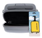 MANDARINA DUCK D-Drop 2.0 Beauty Case Silver