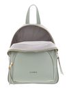 COCCINELLE Coccinelle Gleen Handback Grained Leather Celadon Green COCCINELLE Coccinelle Gleen Handback Grained Leather Celadon Green
