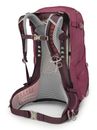 Osprey Sirrus 34 Elderberry Purple / Chiru Tan Osprey Sirrus 34 Elderberry Purple / Chiru Tan