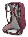 Osprey Sirrus 24 Elderberry Purple / Chiru Tan Osprey Sirrus 24 Elderberry Purple / Chiru Tan