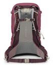 Osprey Sirrus 24 Elderberry Purple / Chiru Tan Osprey Sirrus 24 Elderberry Purple / Chiru Tan