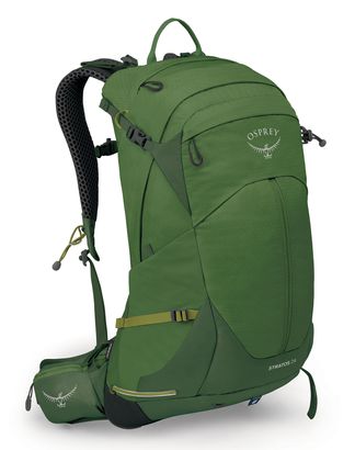 Osprey backpack Stratos 24 Seaweed / Matcha Green | Buy bags