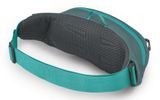 Osprey Daylite Waist Jetstream Blue / Cascade Blue Osprey Daylite Waist Jetstream Blue / Cascade Blue