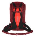 SALEWA Alp Trainer 20 WS Syrah