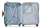 DELSEY PARIS Moncey 4 Double Rolls Cabin Trolley Slim 55 Almond