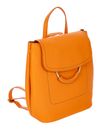 BRIC'S Gondola Tiglio Zaino Backpack Citrus