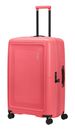 American Tourister Dashpop Spinner 77 / 28 EXP TSA L Sugar Pink