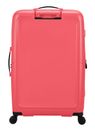 American Tourister Dashpop Spinner 77 / 28 EXP TSA L Sugar Pink