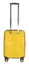 Stratic Bright + Trolley Exp S Yellow Gold Stratic Bright + Trolley Exp S Yellow Gold