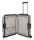 TITAN LITRON Frame 4W Trolley Frondpocket S Champagner TITAN LITRON Frame 4W Trolley Frondpocket S Champagner