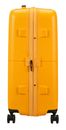 American Tourister Dashpop Spinner 67 / 24 Trolley EXP TSA M Golden Yellow American Tourister Dashpop Spinner 67 / 24 Trolley EXP TSA M Golden Yellow
