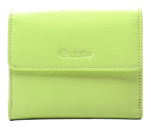 Esquire Viktoria Little Wallet Lime