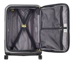 DELSEY PARIS Securitime Zip Expandable F / O 4 Double Rolls Trolley 65 M Anthrazit