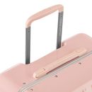 DELSEY PARIS Bastille 2.0 4DR Trolley 65 M Paonie DELSEY PARIS Bastille 2.0 4DR Trolley 65 M Paonie