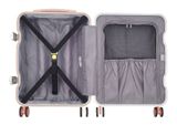 DELSEY PARIS Bastille 2.0 4DR Cabin Trolley Slim Line 55 XS Paonie