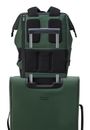 DELSEY PARIS Turenne Soft Backpack 14" Green DELSEY PARIS Turenne Soft Backpack 14" Green
