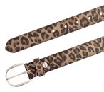 Vanzetti Leather Belt W100 Taupe - Dark Brown - shortenable