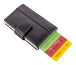 Maître Birkenfeld C-Two E-Cage sv8 Blue