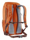 deuter Walker 24 Chestnut - Umbra