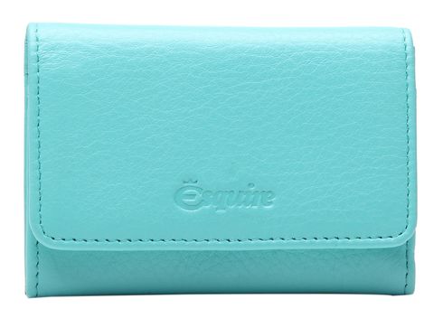 Esquire Peru Wallet Türkis