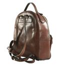 THE BRIDGE Gloria Backpack S Marrone 14 / Oro