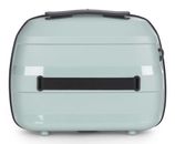 Stratic Straw + Beauty Case Mint