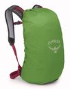 Osprey Hikelite 18 Chameleon / Black