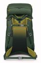 Osprey Ace 38 Green Canopy Osprey Ace 38 Green Canopy