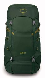 Osprey-Rucksack-Ace-38-Green-