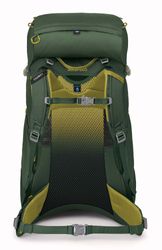 Osprey backpack Ace 38 Green Canopy | Buy bags, purses