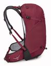Osprey Hikelite 28 M / L Chameleon / Black Osprey Hikelite 28 M / L Chameleon / Black